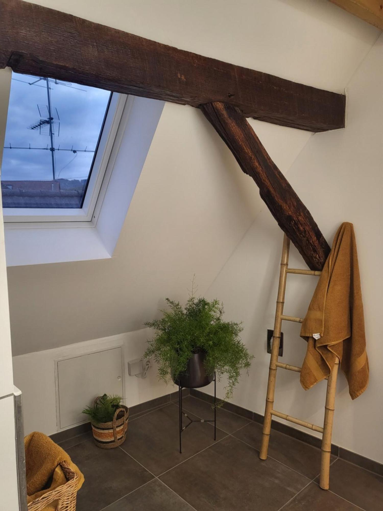Ferienwohnung Im Rebstock Nr.1 Bahlingen  エクステリア 写真